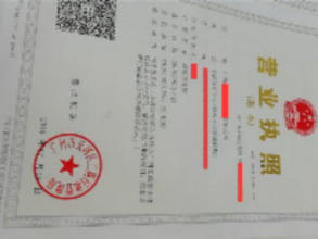 公司注冊(cè) 內(nèi)資公司注冊(cè) 提供注冊(cè)地址等 靠譜認(rèn)真負(fù)責(zé)