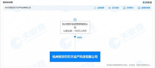 阿里巴巴不動(dòng)產(chǎn)科技公司成立