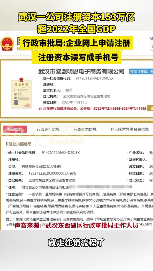 武漢一公司注冊(cè)資本高達(dá)153萬(wàn)億 官方回應(yīng) 企業(yè)注冊(cè)時(shí)誤寫(xiě)成手機(jī)號(hào)