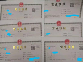 公司注冊全方位服務(wù) 個體、財務(wù)代理與內(nèi)資公司注冊指南